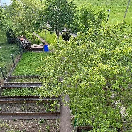 Good Connection Airport &